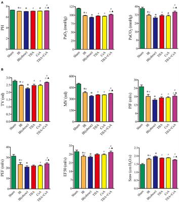 Tanshinone IIA Combined With Cyclosporine A Alleviates Lung Apoptosis Induced by Renal Ischemia-Reperfusion in Obese Rats